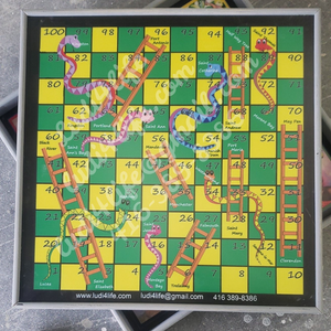 Custom Ludi board